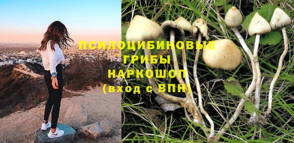 гидропоника Белоозёрский