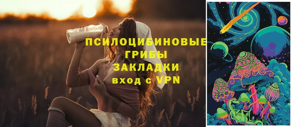 сатива Богданович