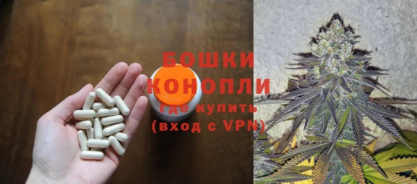 сатива Богданович