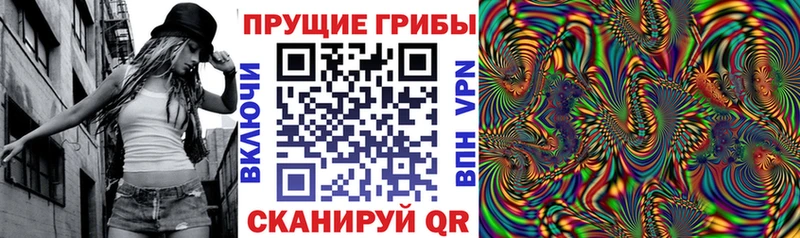 Псилоцибиновые грибы ЛСД  цены   Киренск 